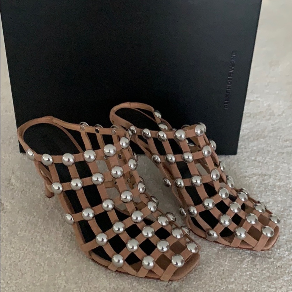 Alexander wang sad Sadie sandal